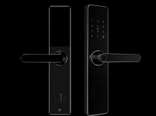 青松沃德-Wi-Fi 指紋鎖家用防盜門智能門鎖密碼鎖刷卡電子鎖 防磁干擾 防撬 L9-WT (不含鎖體，鎖體需另購）